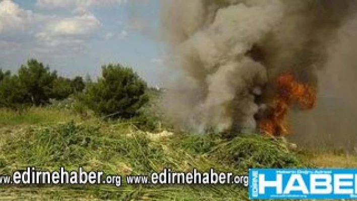 Kaçakların bitmeyen kaderi