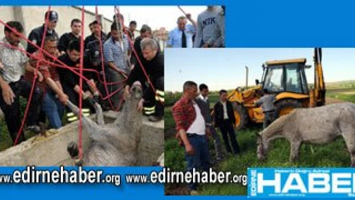 Soba yerine kendini yaktı