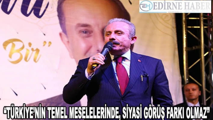 'Türkiye'nin temel meselelerinde, siyasi görüş farkı olmaz'