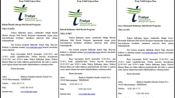 Mali Destek Programları