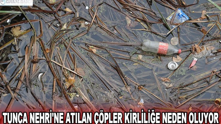Tunca Nehri'ne atılan çöpler kirliliğe neden oluyor
