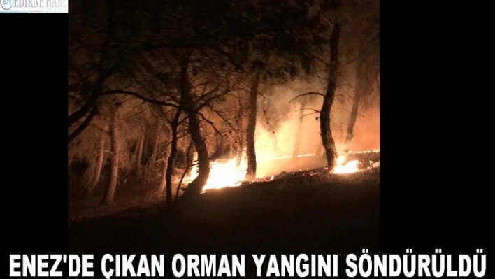 ENEZ'DE ÇIKAN ORMAN YANGINI SÖNDÜRÜLDÜ