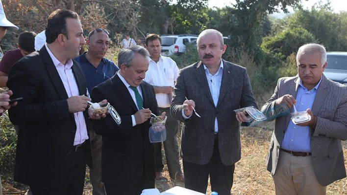 Son Hasat yapıldı