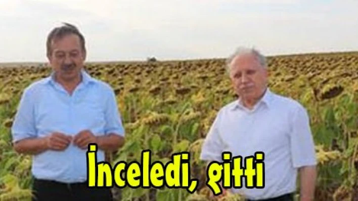 İnceledi, gitti