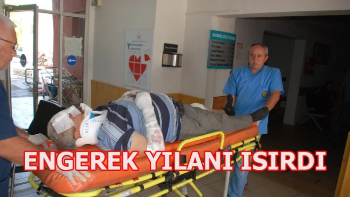 Yılan ısırdı