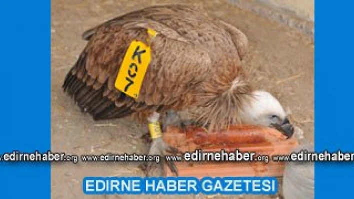 ''K 07'' düştü