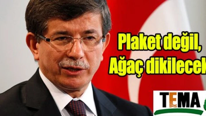 Plaket değil, Ağaç dikilecek