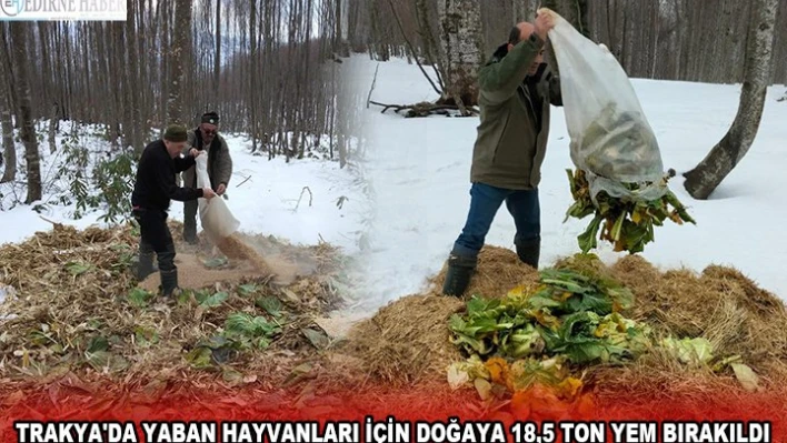 TRAKYA'DA YABAN HAYVANLARI İÇİN DOĞAYA 18,5 TON YEM BIRAKILDI