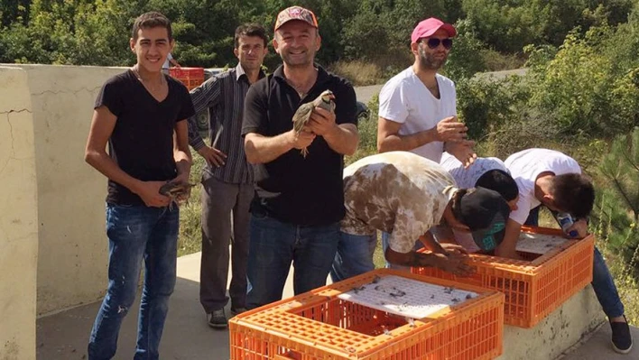 Doğaya bırakıldılar