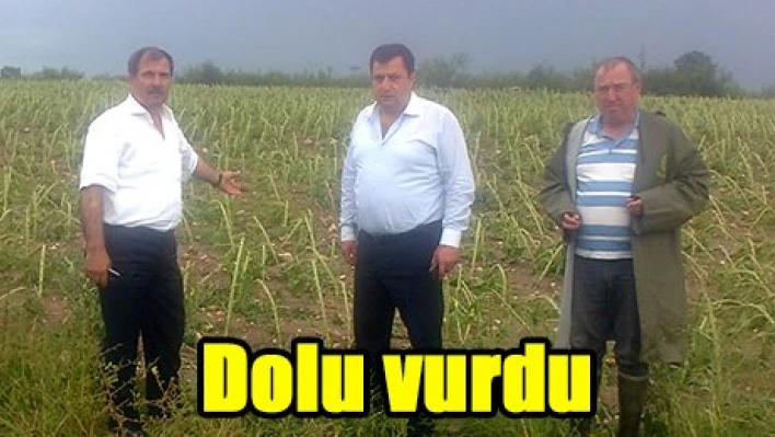 Dolu vurdu