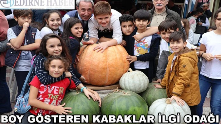150 Kiloluk kabak ilgi odağı 
