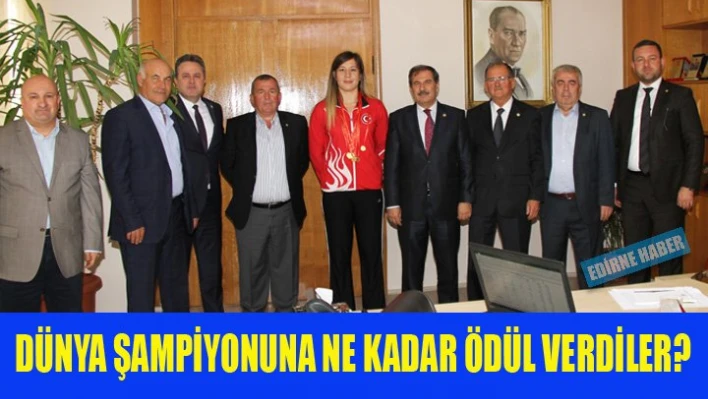 Ödül ama ne kadar ödül?