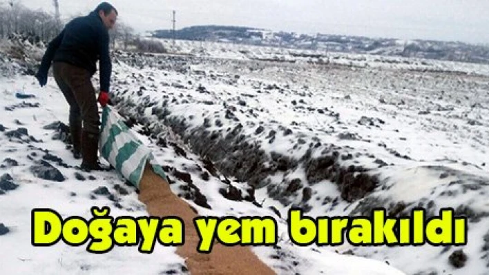 Doğaya yem bırakıldı