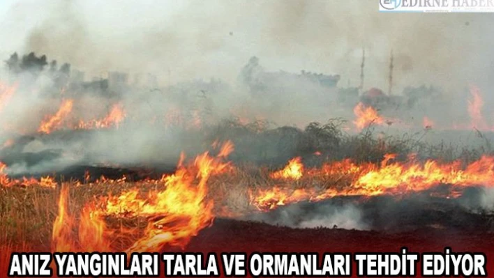 ANIZ YANGINLARI TARLA VE ORMANLARI TEHDİT EDİYOR