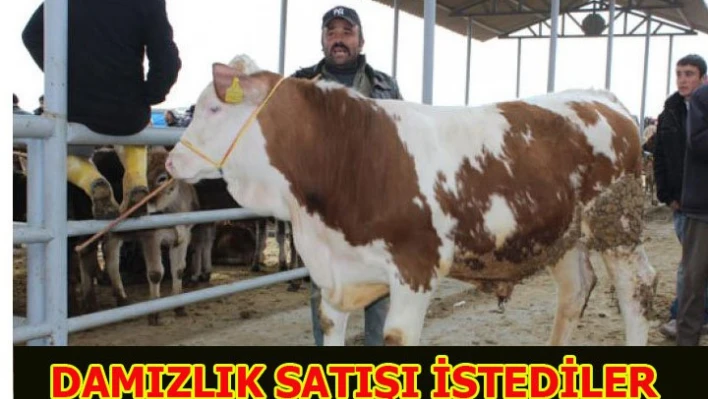 'Borsa'da damızlık satışı yapılsın'