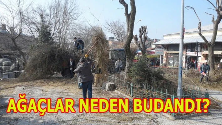 'Çehresi değişecek'