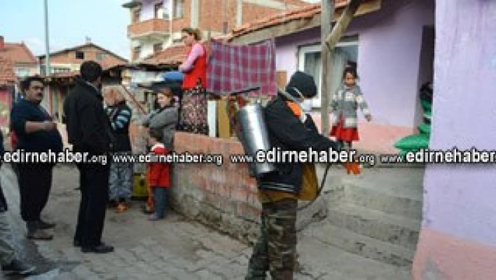 Karaağaç ilaçlandı