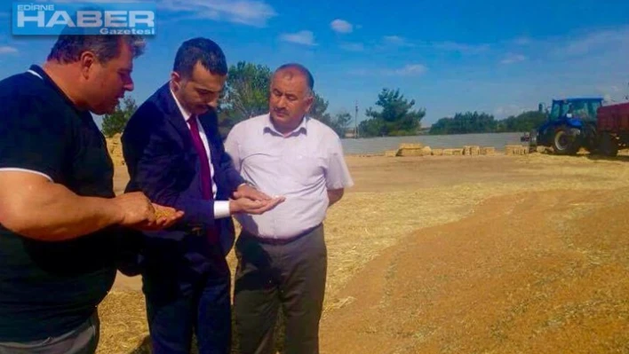 Buğday alım kampanyası