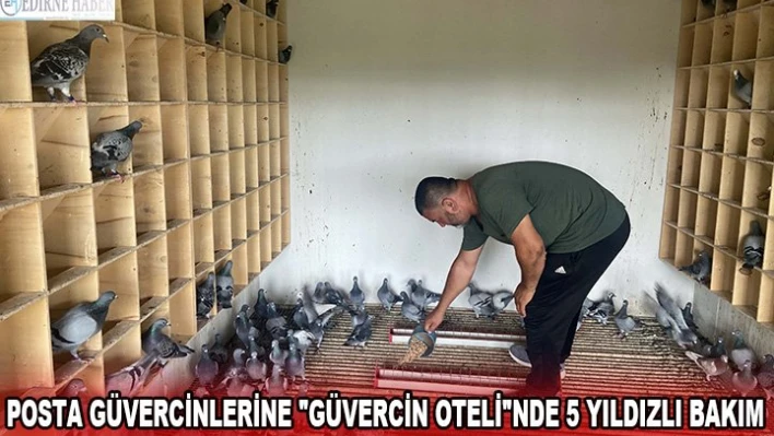 Posta güvercinlerine 'Güvercin Oteli'nde 5 yıldızlı bakım