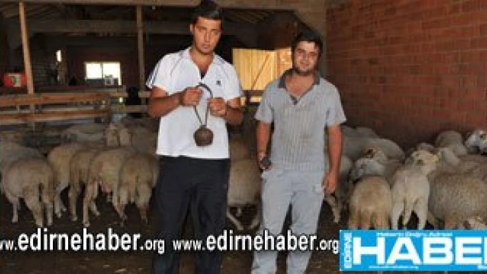 Burnu kırıldı