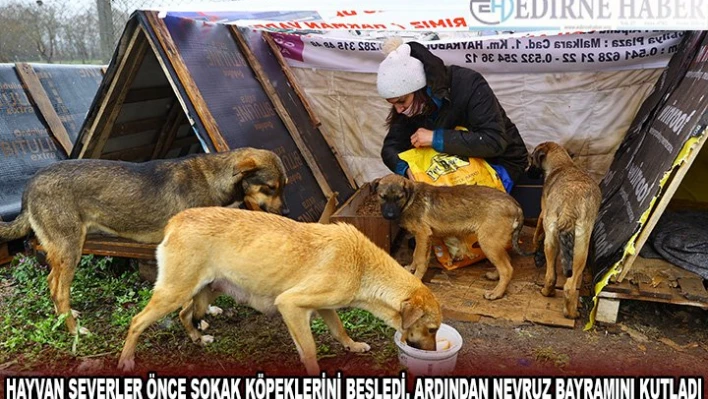 Hayvan severler önce sokak köpeklerini besledi, ardından Nevruz Bayramını kutladı