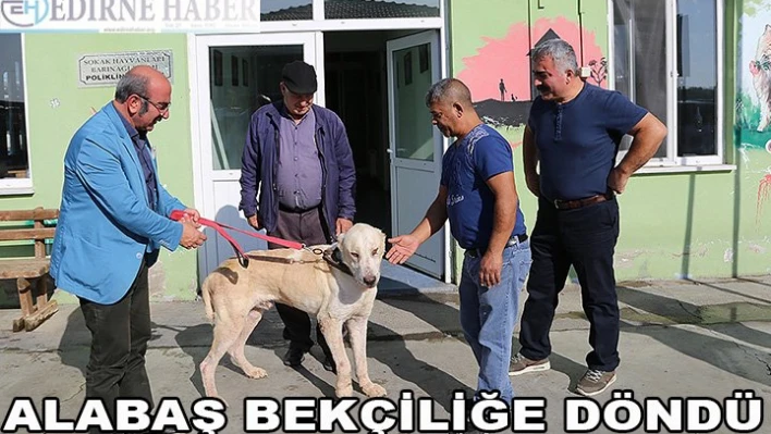 Alabaş, bekçiliğe döndü