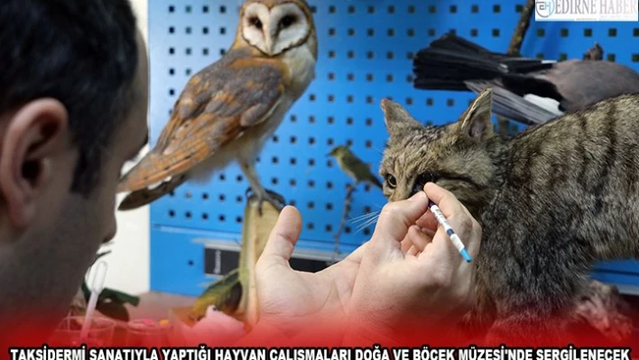 TAKSİDERMİ SANATIYLA YAPTIĞI HAYVAN ÇALIŞMALARI DOĞA VE BÖCEK MÜZESİ'NDE SERGİLENECEK