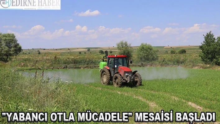 'YABANCI OTLA MÜCADELE' MESAİSİ BAŞLADI