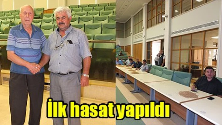 İlk hasat yapıldı