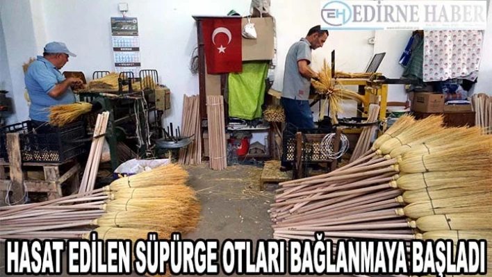 Hasat edilen süpürge otları bağlanmaya başladı