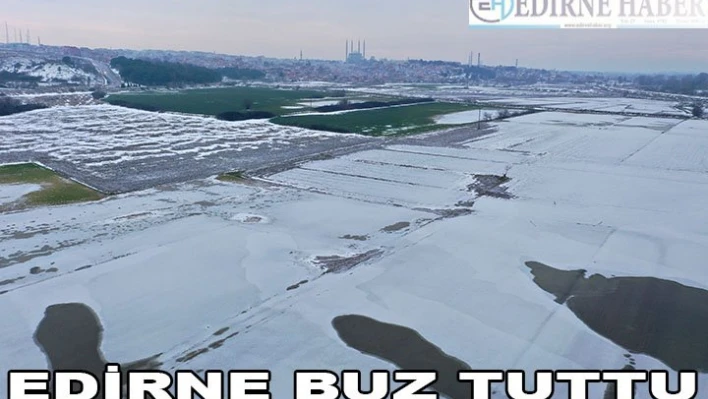 Edirne'de soğuk hava nedeniyle nehir kenarındaki tarlalar buz tuttu