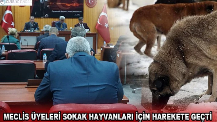 Meclis üyeleri sokak hayvanları için harekete geçti