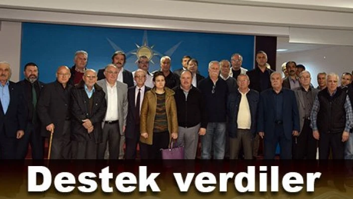 Ak Parti'ye destek