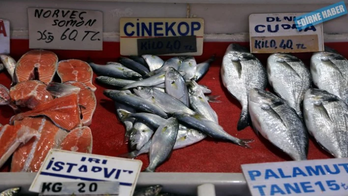 Balıkçıların umudu çinekop