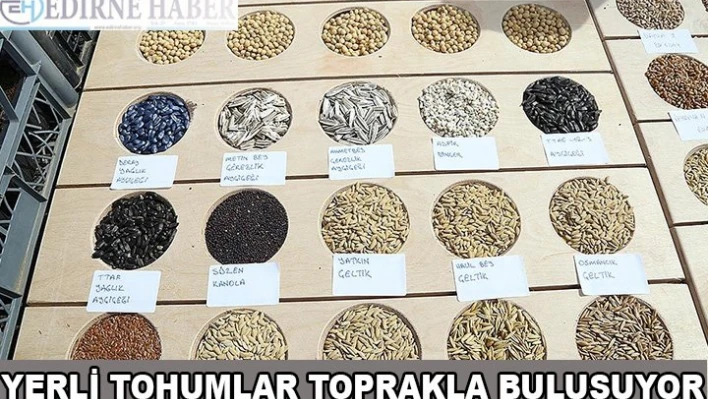 Yerli Tohumlar Toprakla Buluşuyor