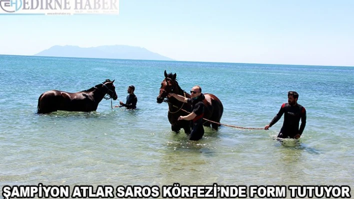 Şampiyon atlar Saros Körfezi'nde 'form' tutuyor