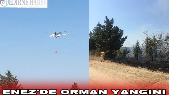 ENEZ'DE ORMAN YANGINI