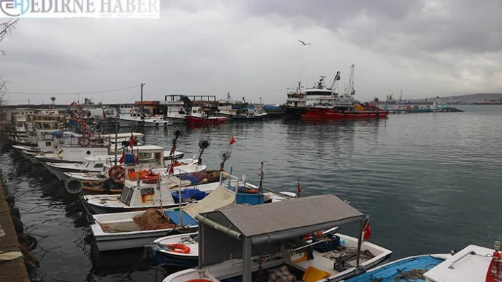 Tekirdağlı balıkçılar 'deniz salyası' nedeniyle paydos etti