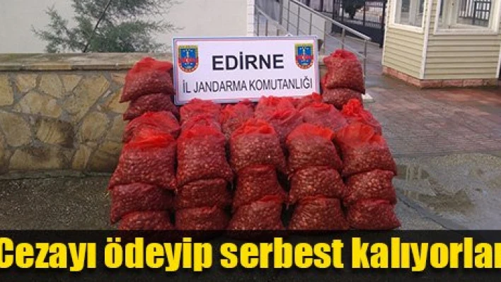 Parası çok, cezası az