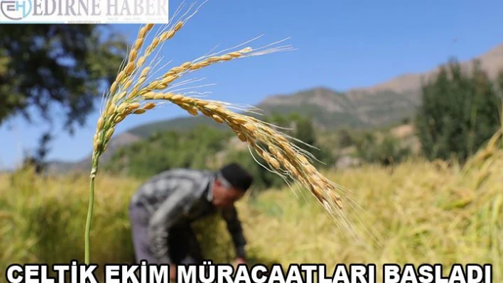 Çeltik ekim müracaatları başladı