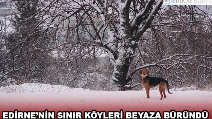 Edirne'nin sınır köyleri beyaza büründü