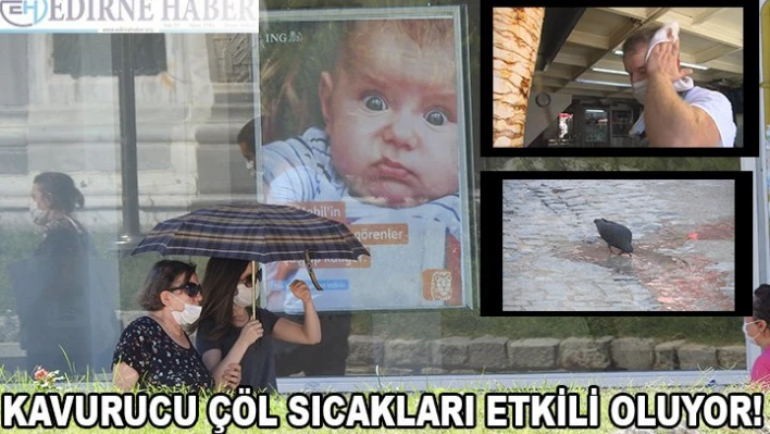 Kavurucu çöl sıcakları etkili oluyor!