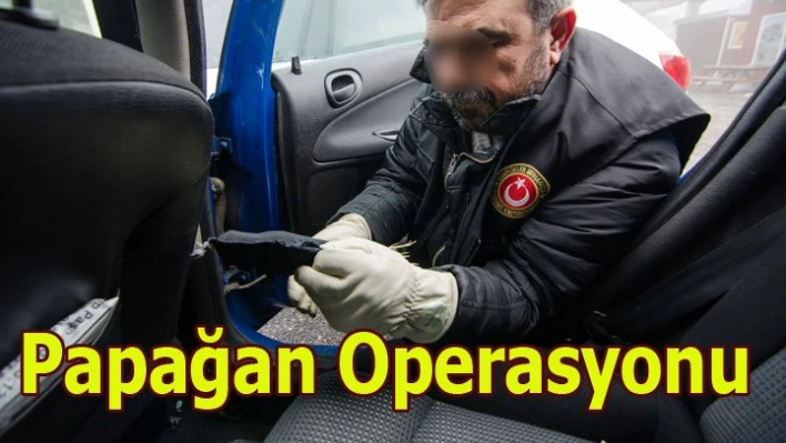Papağan operasyonu