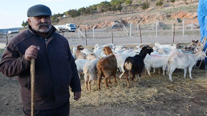 Tesadüf eseri yaşıyorlar