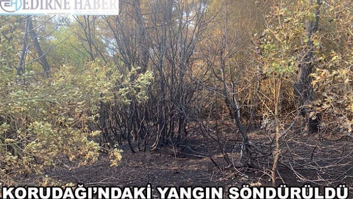 Korudağı'ndaki orman yangını söndürüldü