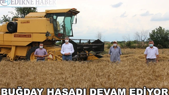 Buğday hasadı devam ediyor
