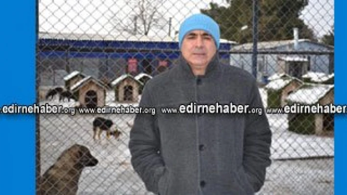 Sokak hayvanlarına sıcak barınak