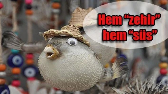 Hem 'zehir' hem 'süs'