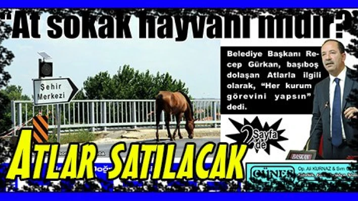 Atlar satılacak