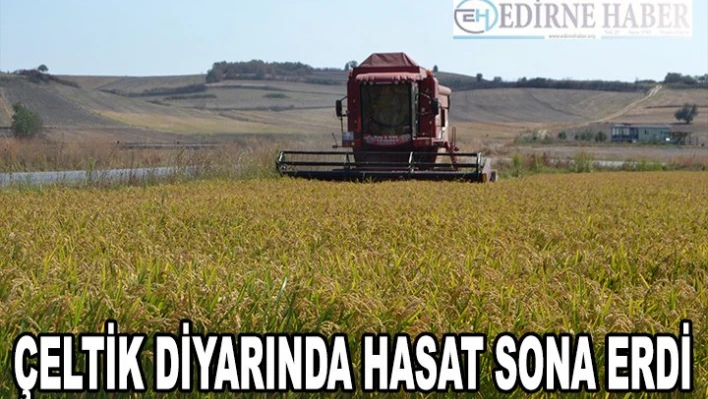 Çeltik diyarında hasat sona erdi